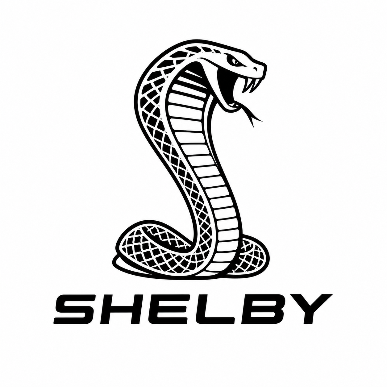 Shelby